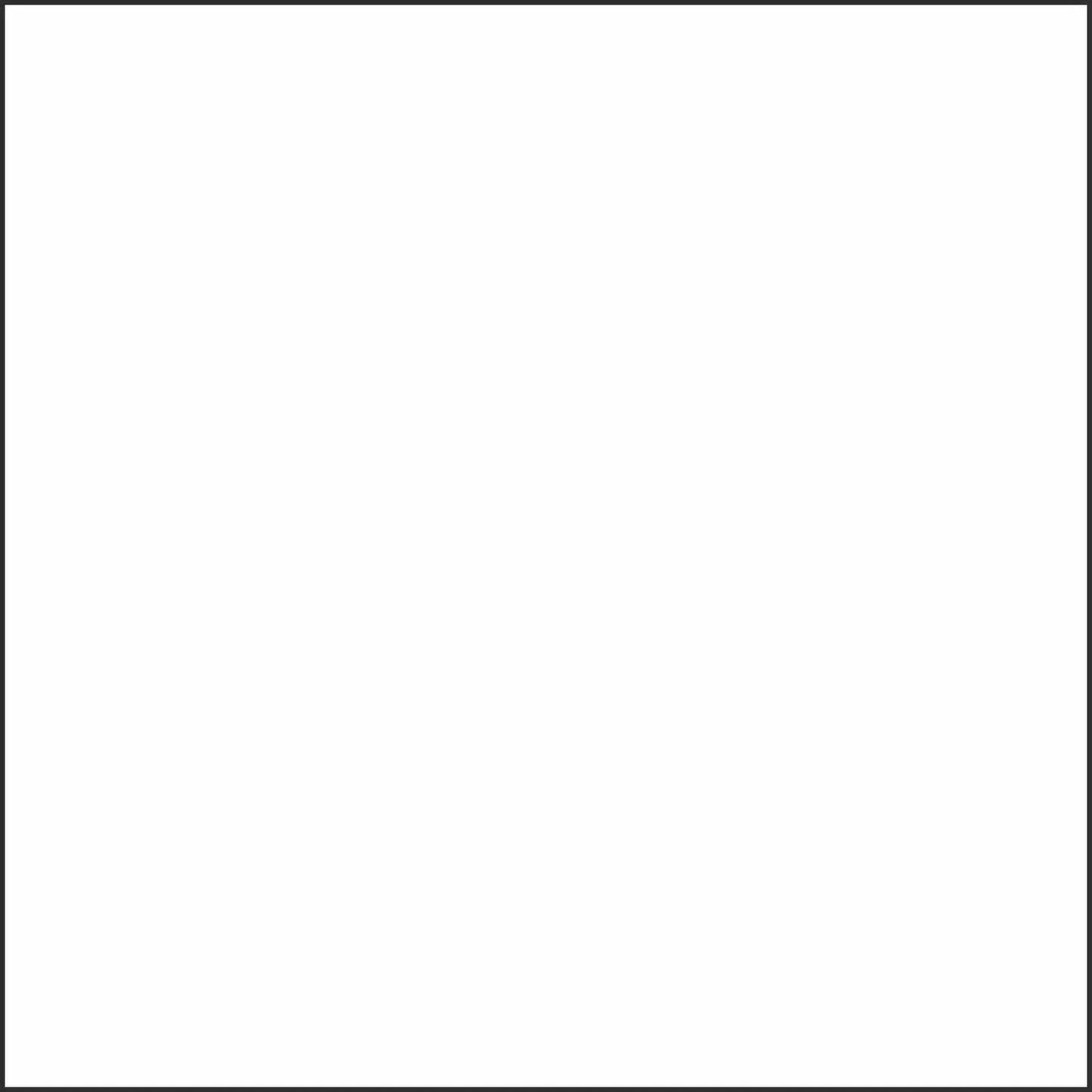2004325 - Cricut Premium Vinyl Removable 30x30cm 12-Sheet Sampler (All Occasions)