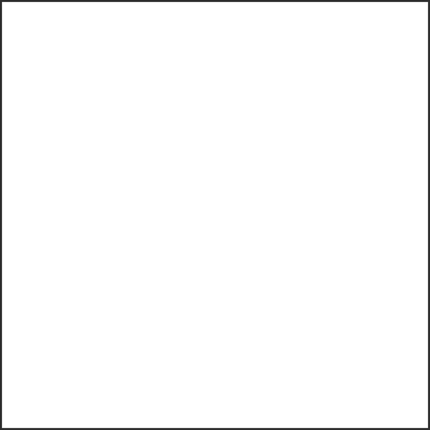 2004325 - Cricut Premium Vinyl Removable 30x30cm 12-Sheet Sampler (All Occasions)
