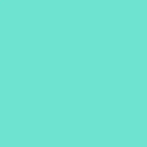 2008629 - Cricut Smart Vinyl Permanent 33x91Cm 1 Sheet (Mint)