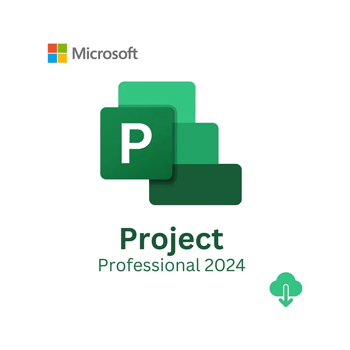Microsoft Project Professional 2024 - 1PC - Download - EP2-07001.