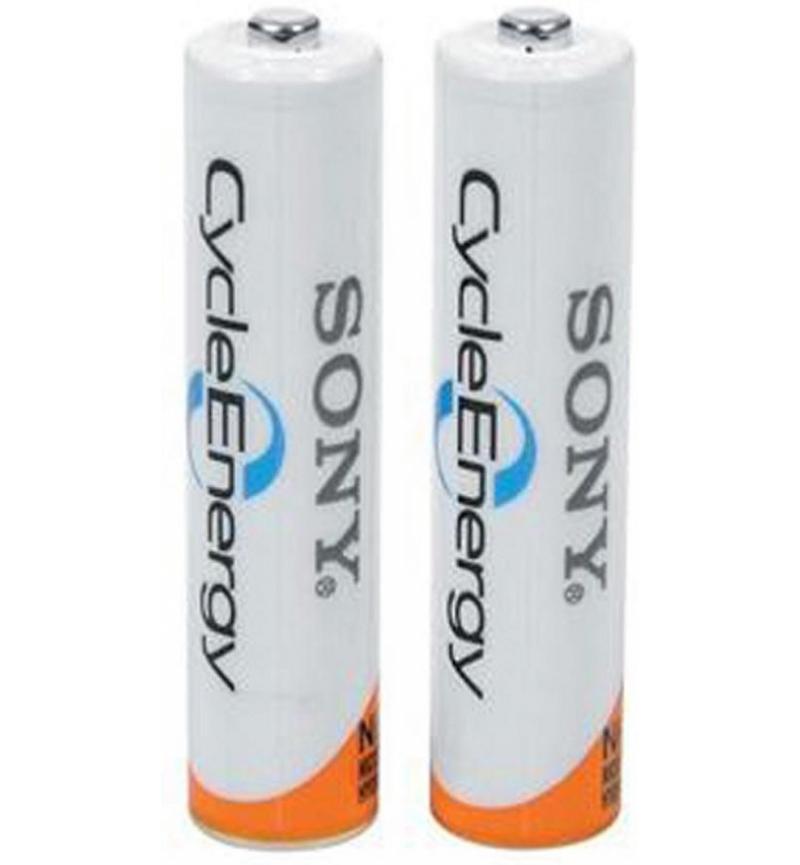 AA (2) RECHARGEABLE