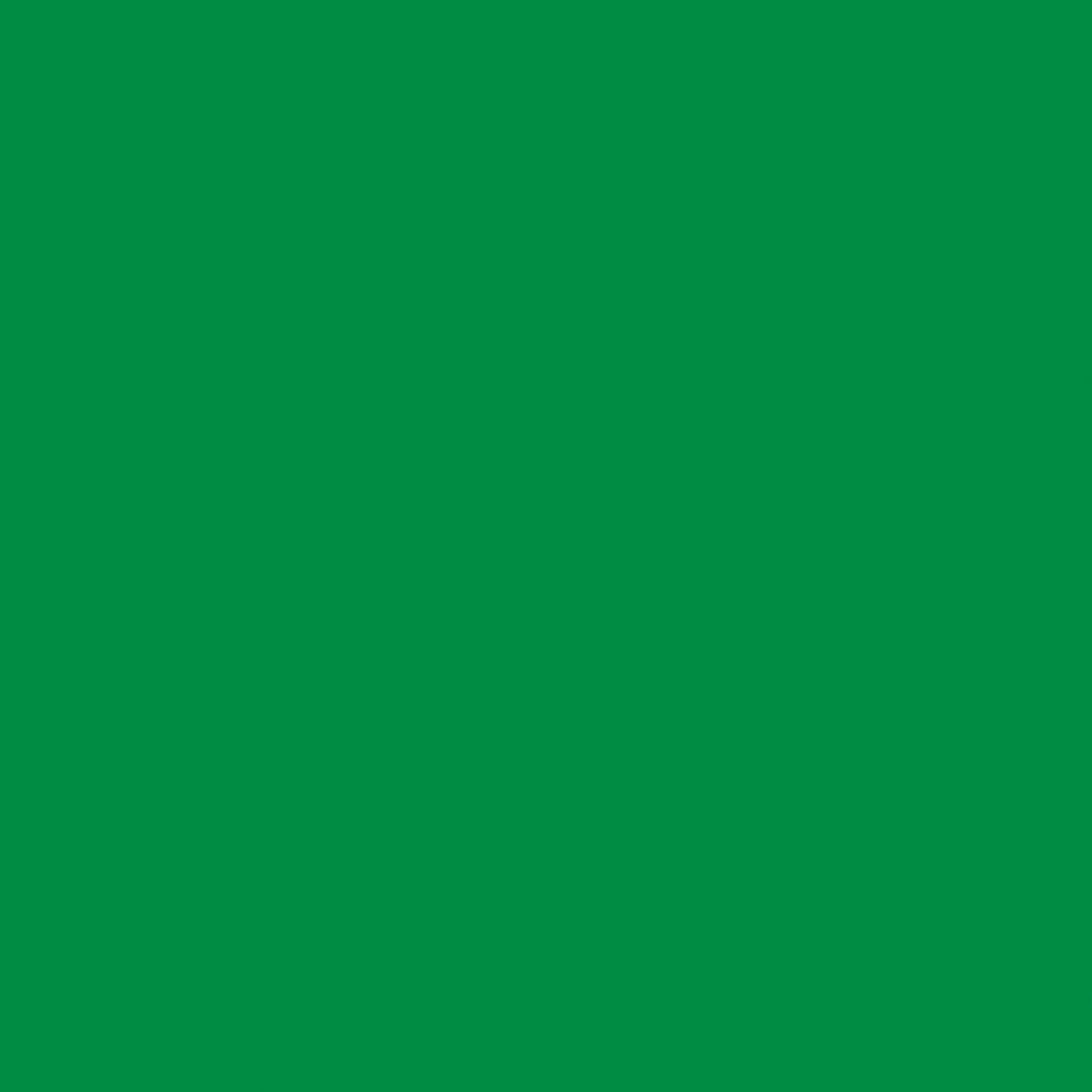 2008444 - Cricut Premium Vinyl 30x120cm (Green)