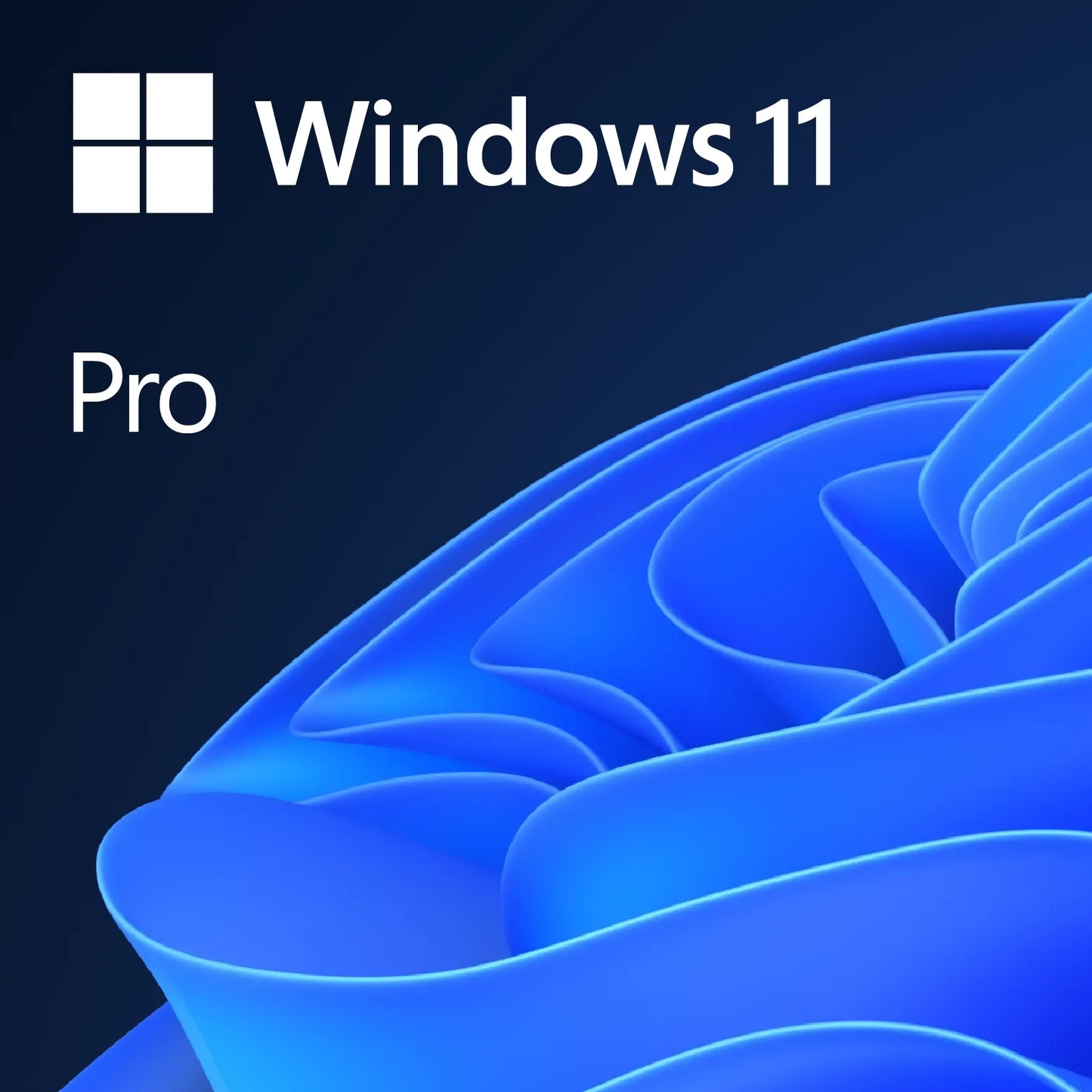 MICROSOFT WINDOWS 11 PROFESSIONAL - FPP - HAV-00164.