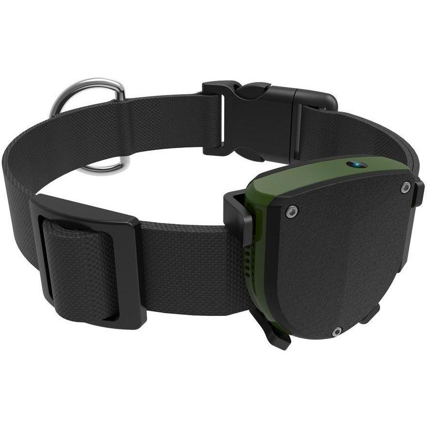 PET TRACKER