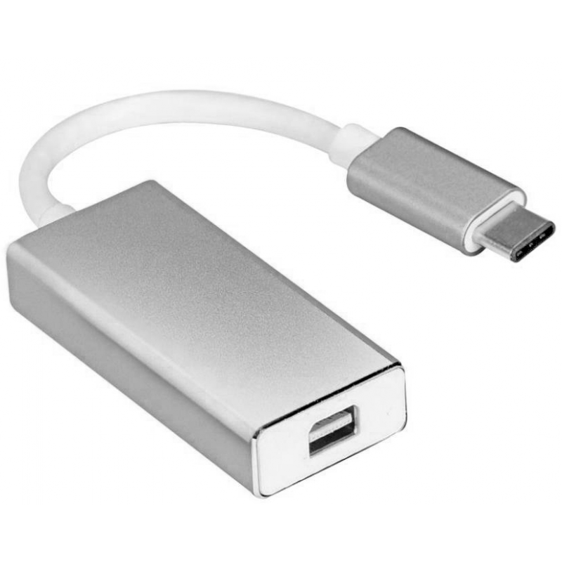 USB-C (M) TO DP MINI