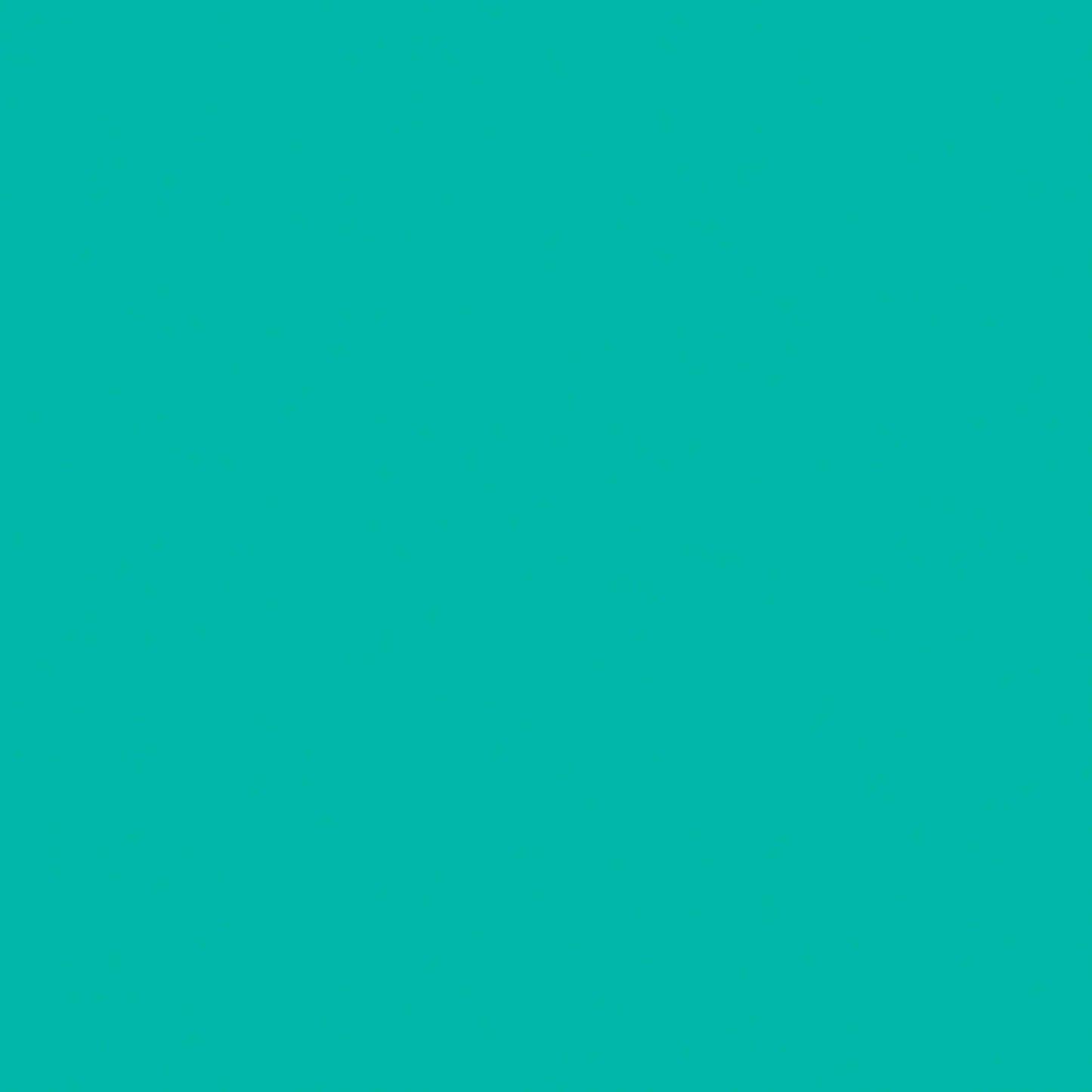 2004313 - Cricut Premium Vinyl Removable 30x30cm 6-Sheet Sampler (Tropical)