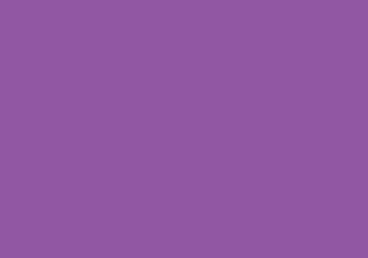 2004308 - Cricut Premium Vinyl Removable 30x120cm (Light Purple)