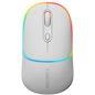 CANYON mouse MW-22 2in1 BT/ Wireless Snow White