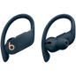 POWERBEATS PRO TOTALLY WIRELESS EARPHONE