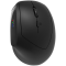 CANYON mouse MW-25 Ergonomic LED AA Dual mode Wireless Black