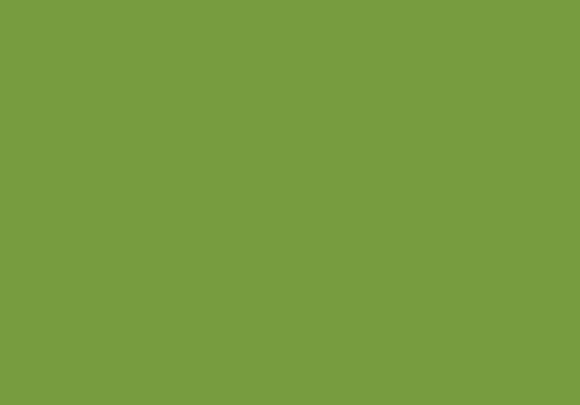 2005199 - Cricut Premium Vinyl Permanent 30x120cm (Lime Green)