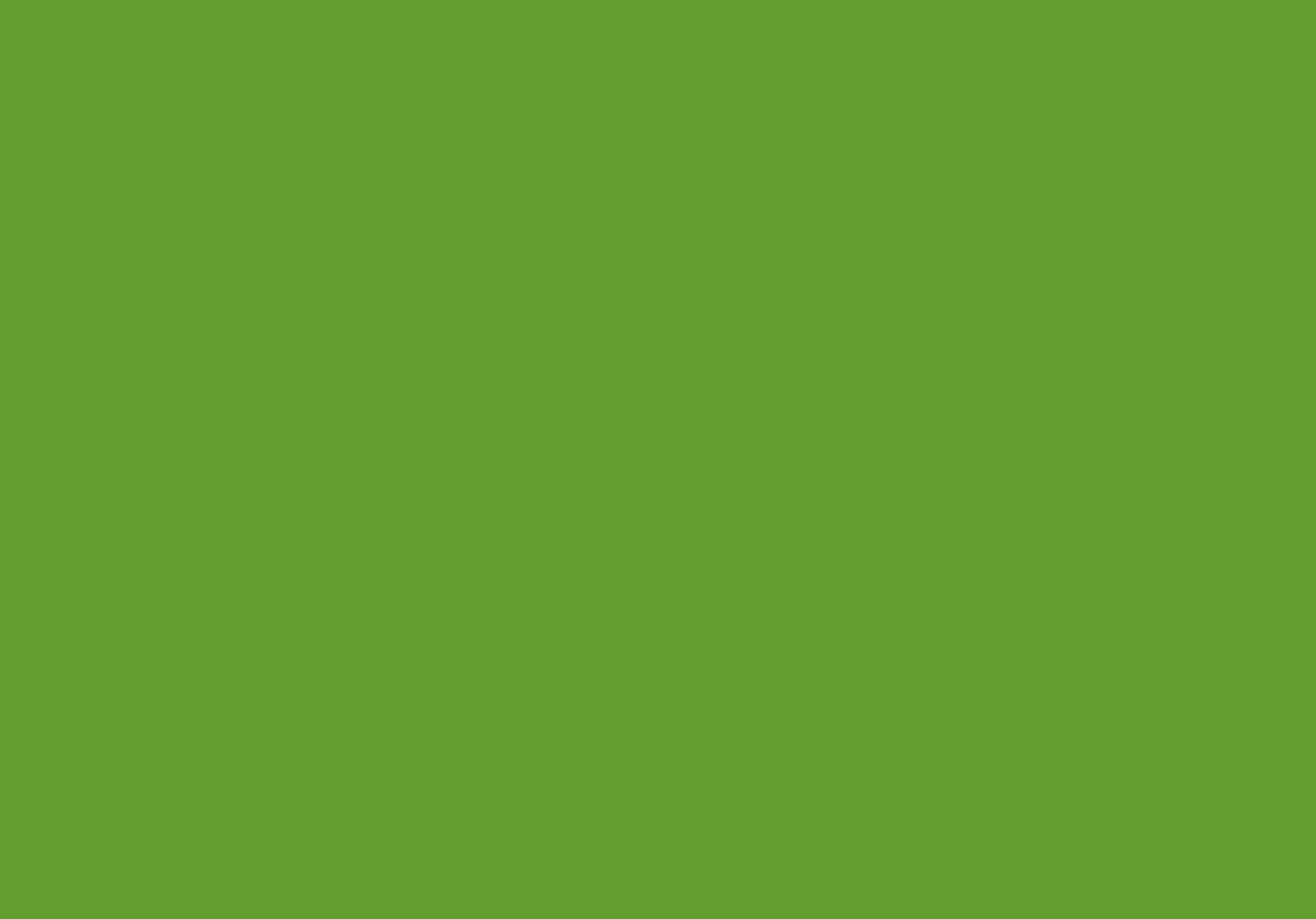 2005199 - Cricut Premium Vinyl Permanent 30x120cm (Lime Green)