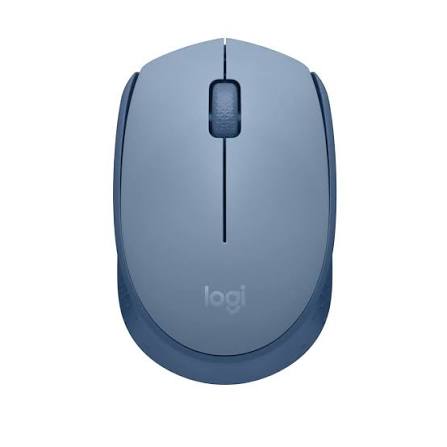 LOGITECH MOUSE WIRELESS M171 B/GREY