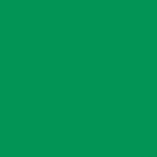 2008656 - Cricut Smart Vinyl Permanent 33x366Cm 1 Sheet (Grass)