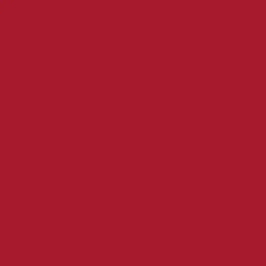 2008616 - Cricut Smart Vinyl Permanent 33x91Cm 1 Sheet (Shimmer Red)