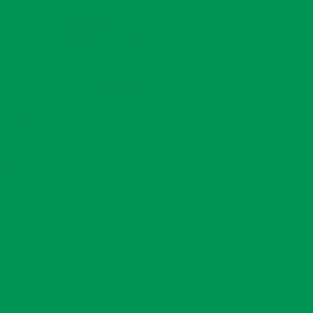 2008638 - Cricut Smart Vinyl Removable 33x91Cm 1 Sheet (Grass)