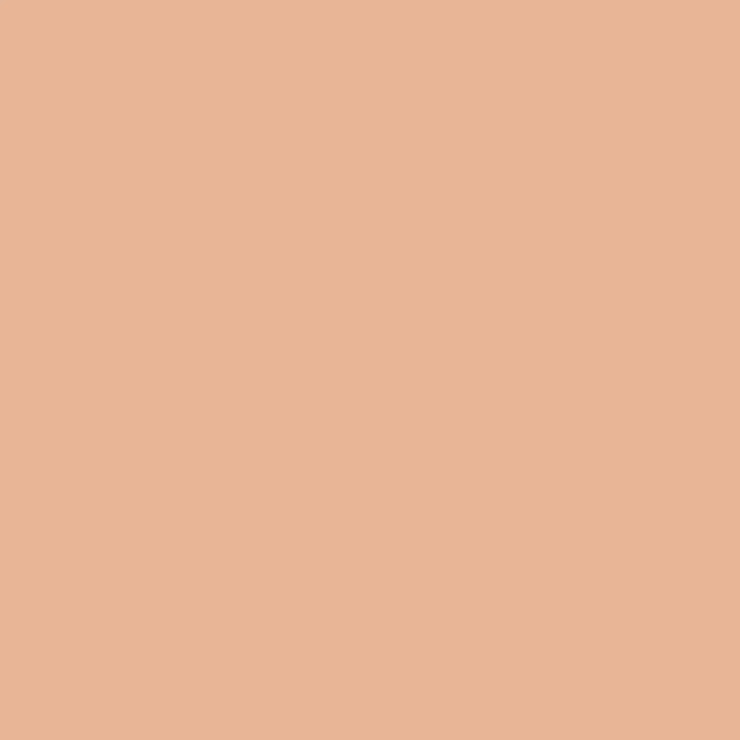 2004326 - Cricut Premium Vinyl Removable 30x30cm 12-Sheet Sampler (Essentials)