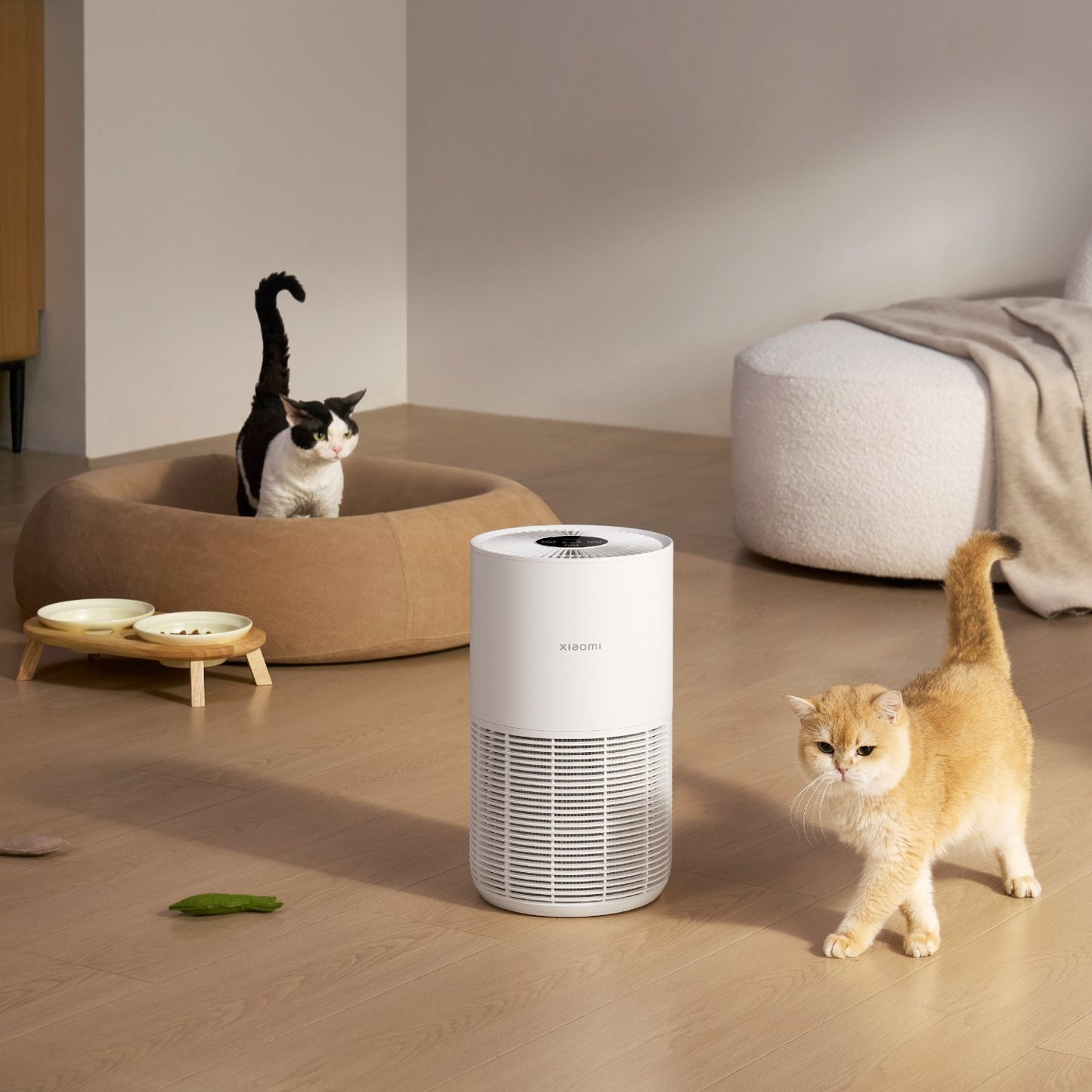 Xiaomi Smart Pet Care Air Purifier enhances air quality for happier pets in cozy home environments.