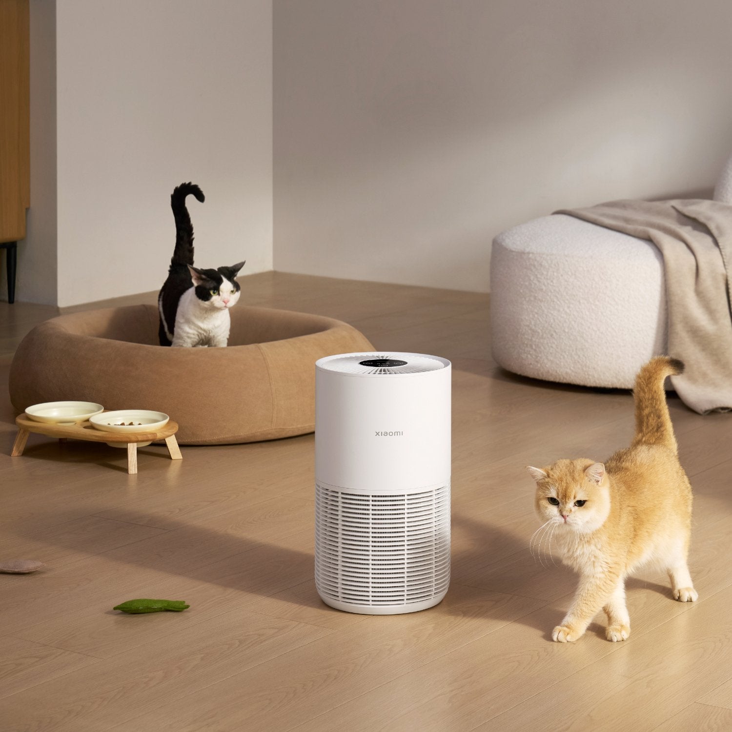 Xiaomi Smart Pet Care Air Purifier enhances air quality for happier pets in cozy home environments.