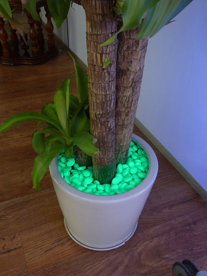 Glow-in-the-Dark Pebbles – Green Luminous Stones (250g)