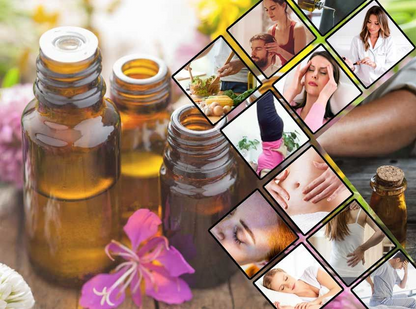 Silkinder Luxury Aromatherapy Essential Oils Collection - 8 Bottles of Pure Bliss (including Ylang-Ylang) for wellness.