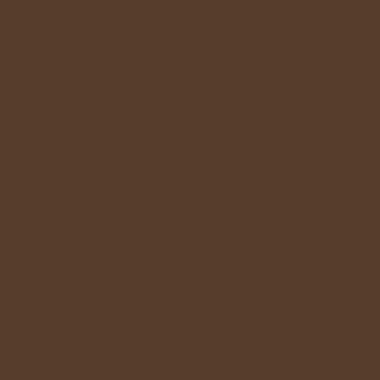 2004304 - Cricut Premium Vinyl Removable 30x120cm (Coffee)