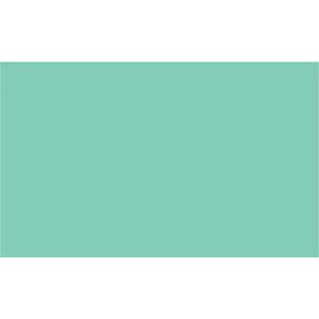 2005219 - Cricut Premium Vinyl Permanent 30x120cm (Pastel Green)