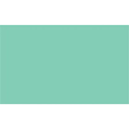 2005219 - Cricut Premium Vinyl Permanent 30x120cm (Pastel Green)