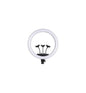 MicroWorld 18" LED Ring Light with 3 Phone Holders – Dimmable Light for Makeup, Video and vlogging, perfect for creators.